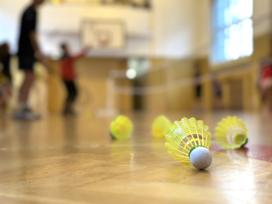 Kroužek Badminton