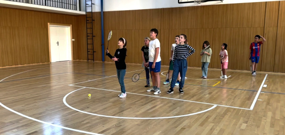 Kroužek Badminton