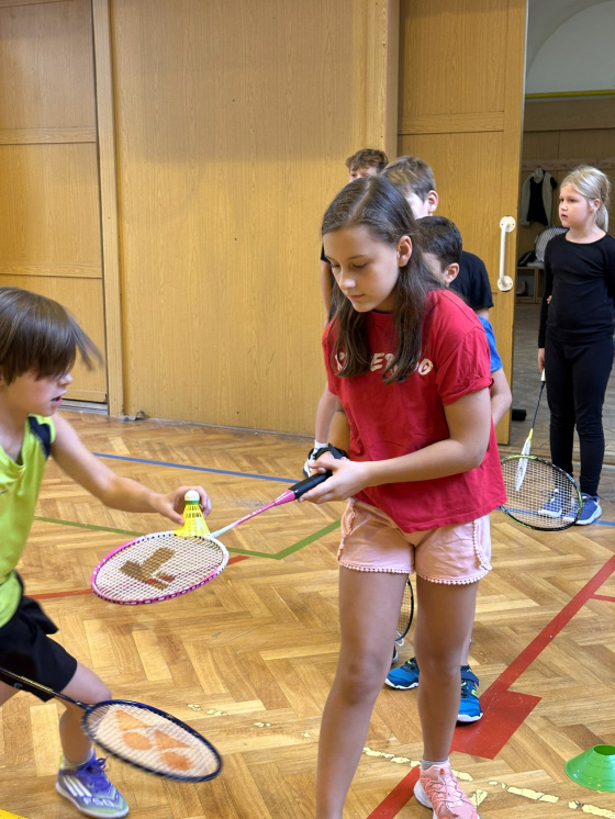 Kroužek Badminton