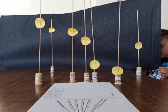 Tábor Záhada páté hvězdy