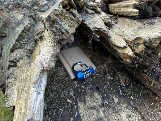 Tábor Týden pokusů a objevů