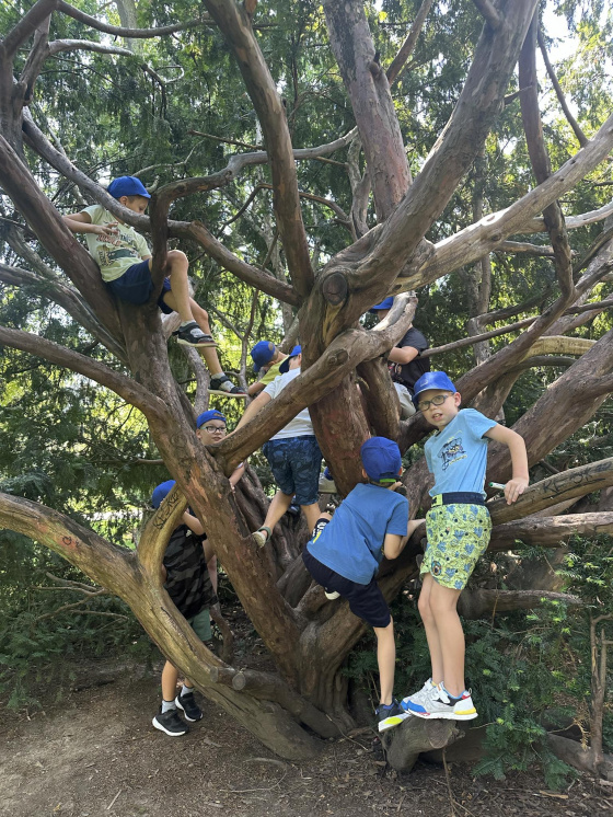 Tábor Týden pokusů a objevů