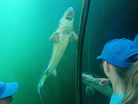 Tábor Dobrodružství v ZOO: Bestiář vzácných tvorů