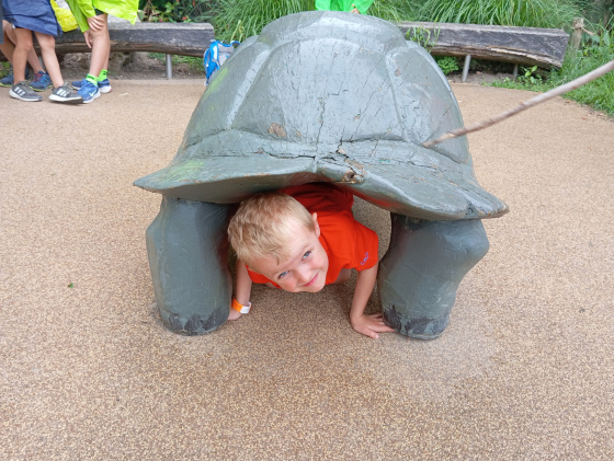 Tábor Dobrodružství v ZOO: Bestiář vzácných tvorů
