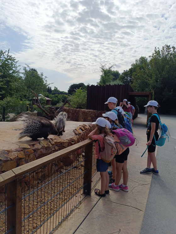 Tábor Dobrodružství v ZOO: Bestiář vzácných tvorů