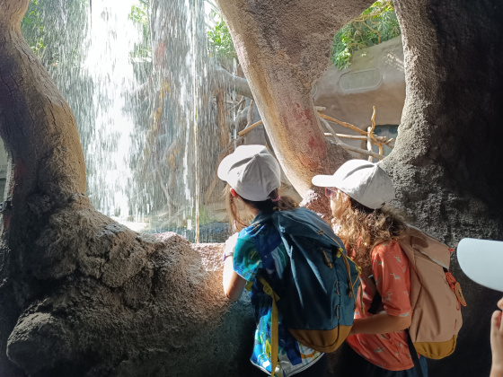 Tábor Dobrodružství v ZOO: Bestiář vzácných tvorů