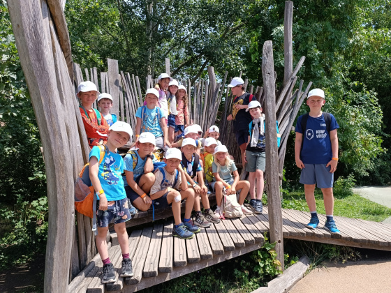 Tábor Dobrodružství v ZOO: Bestiář vzácných tvorů