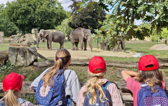 Dobrodružství v ZOO (6 - 12 let) - Červená skupina