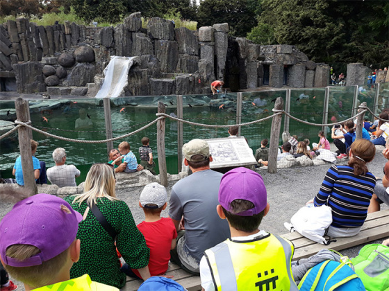 Tábor Dobrodružství v ZOO: bestiář fantastických tvorů