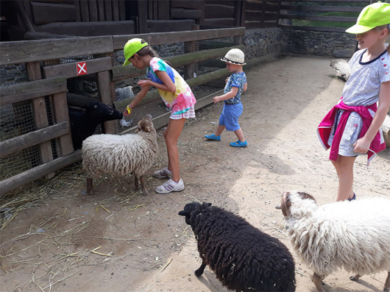 Tábor Dobrodružství v ZOO: bestiář fantastických tvorů