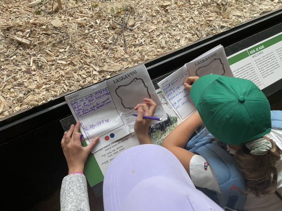 Tábor Dobrodružství v ZOO