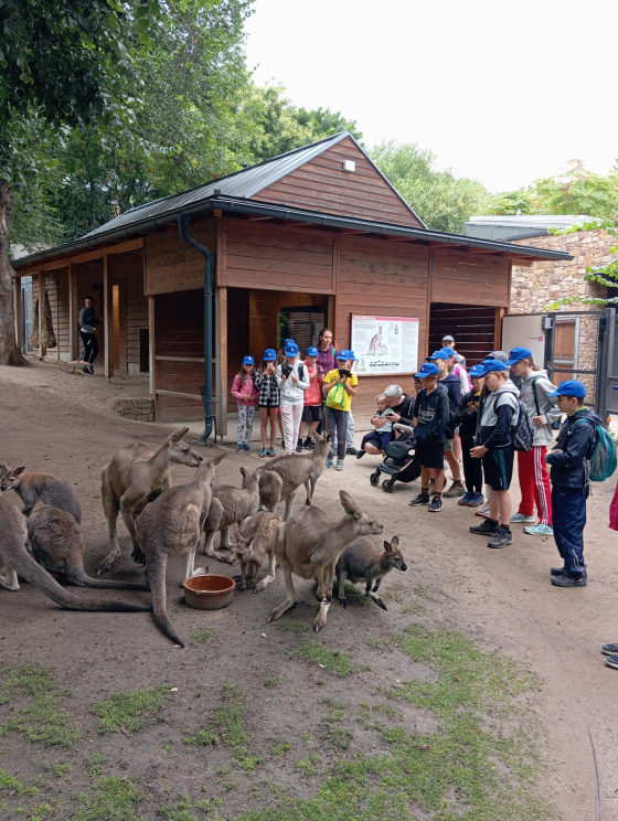 Tábor Dobrodružství v ZOO