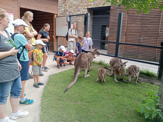 Tábor Dobrodružství v ZOO: bestiář fantastických tvorů