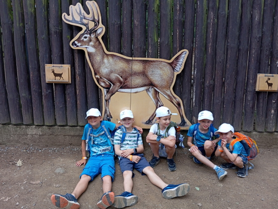 Tábor Dobrodružství v ZOO: bestiář fantastických tvorů