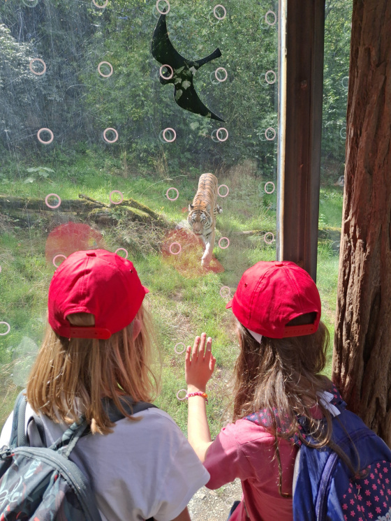 Tábor Dobrodružství v ZOO